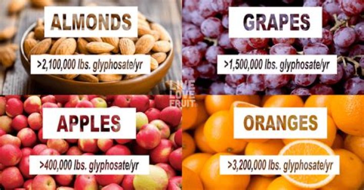What food contains glyphosate?