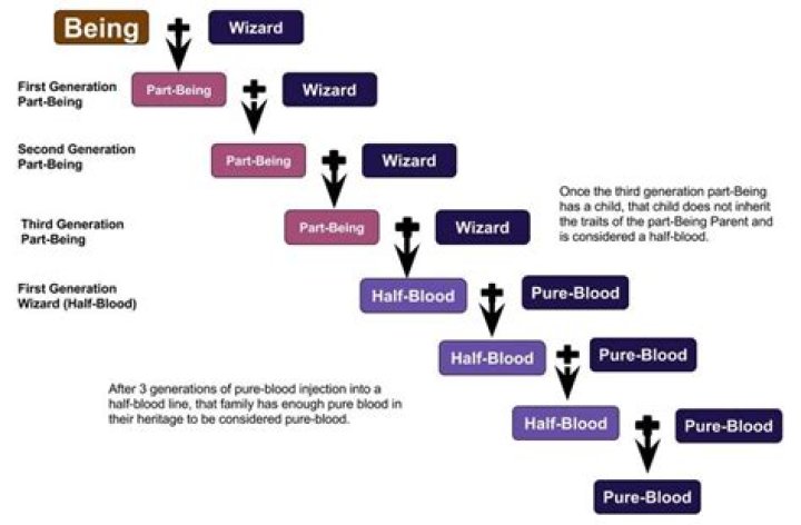 What happens if a half-blood and a pureblood have a child?