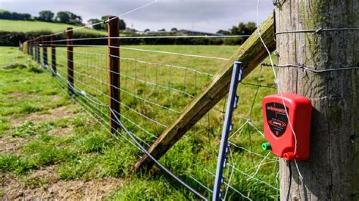What happens if you pee on electric fence?
