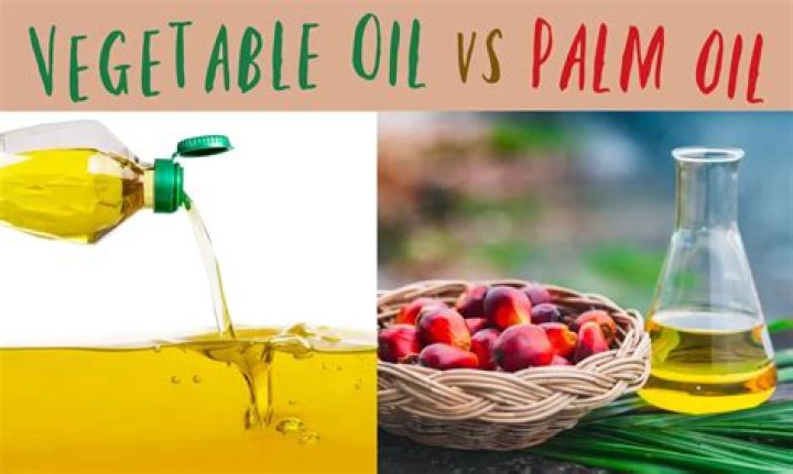 What happens if you use vegetable oil instead of motor oil?