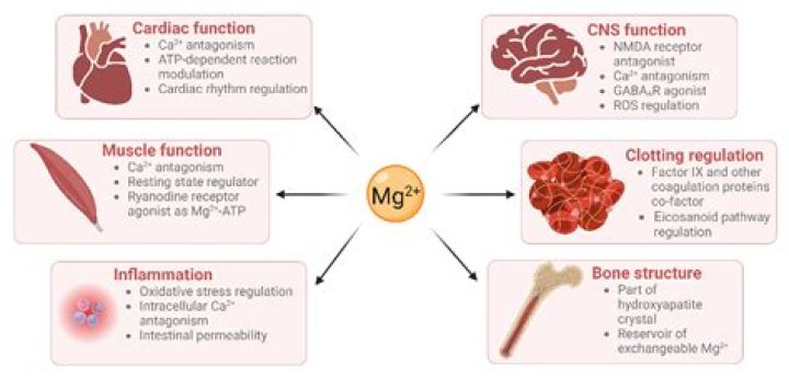 What happens to the heart when magnesium is low?
