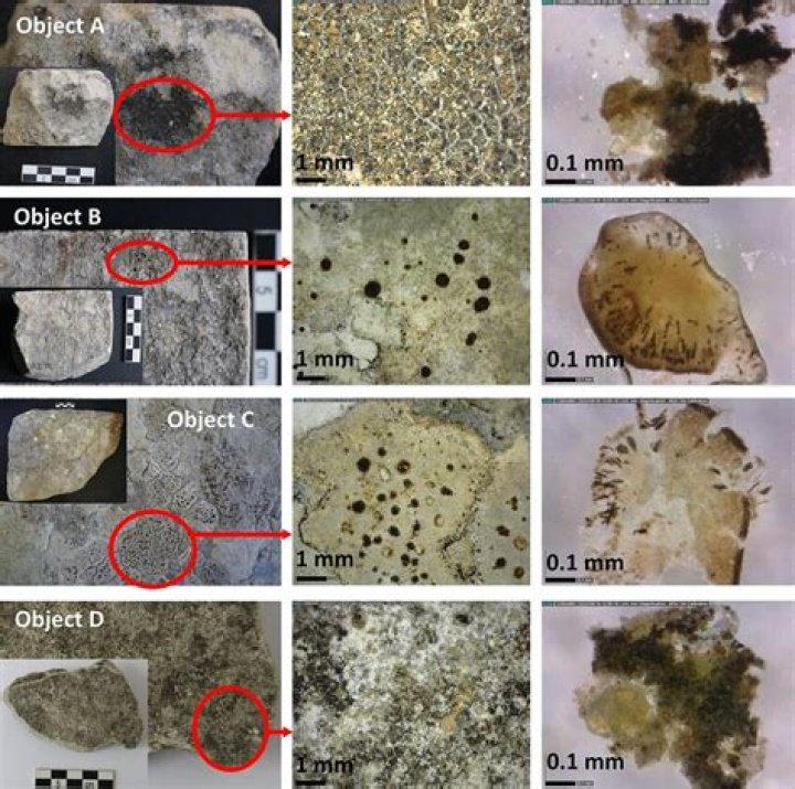 What happens when an administrator dies?