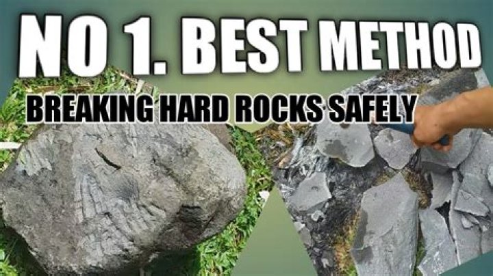 What happens when you break open a sand dollar?