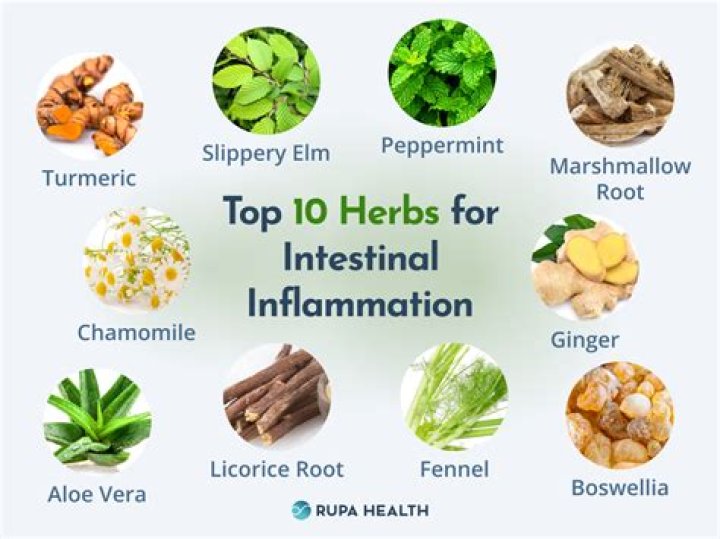 What herbs are good for sleep apnea?
