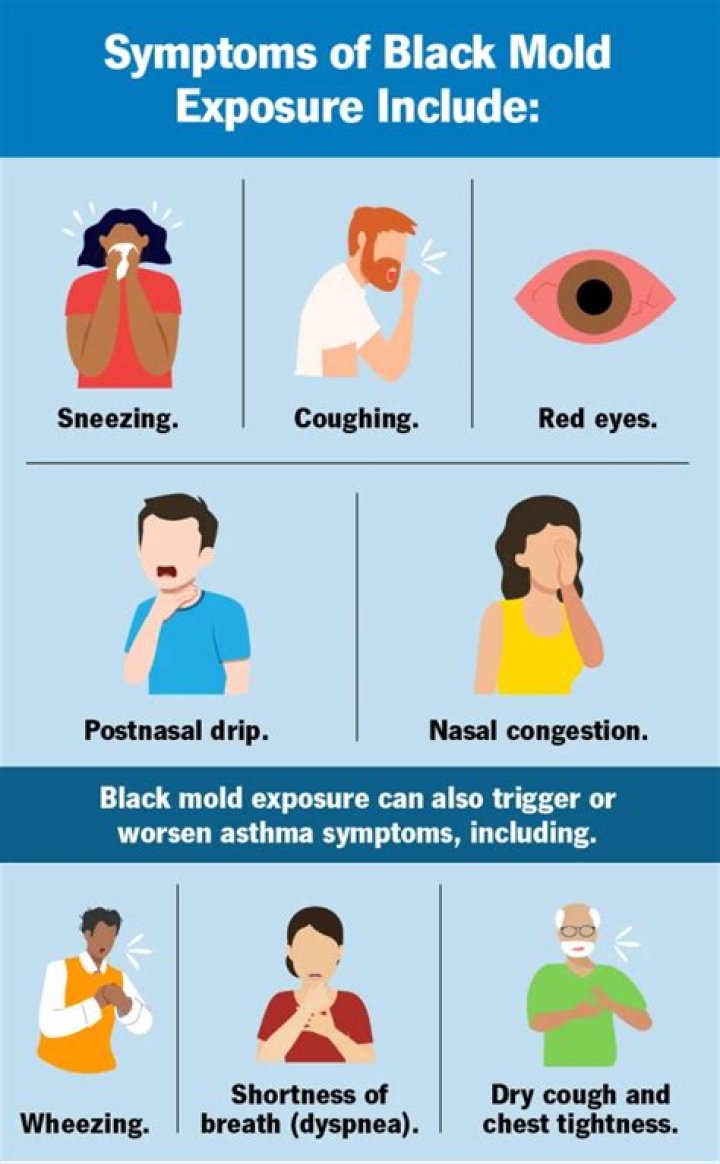 What if I touched black mold?