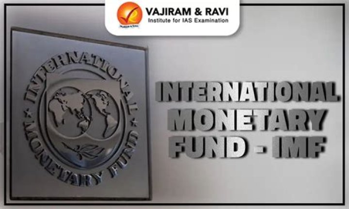 What important role does International Monetary Fund play in the world economy?