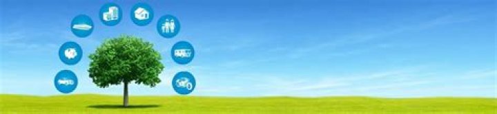 What is a district manager salary?