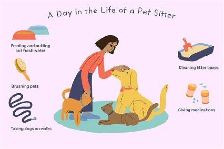 What is a fair price to pay a pet sitter?