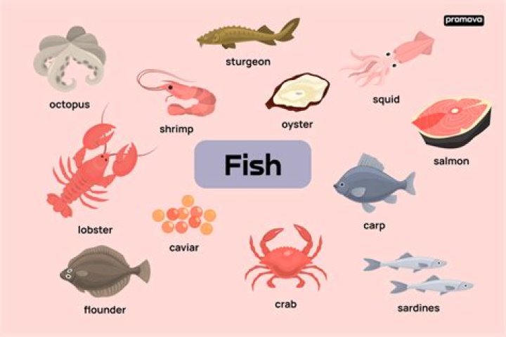 What is a fish's favorite food?