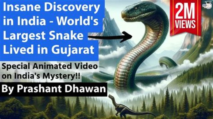 What is a ghost snake?