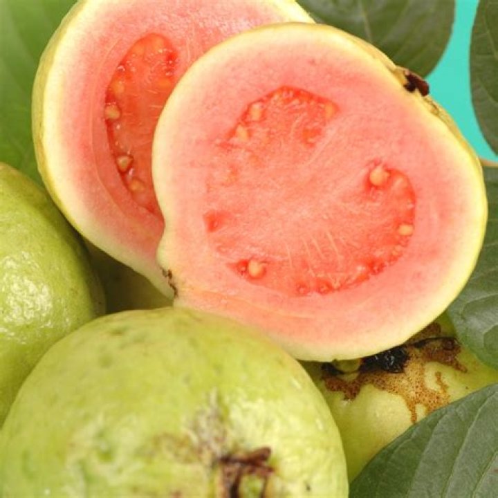 What is a guava fruit?