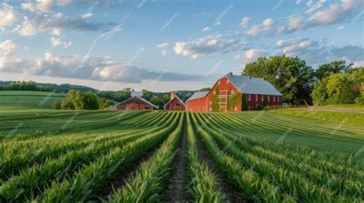 What is a large farm or plantation?