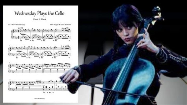 What is a person who plays the cello called?