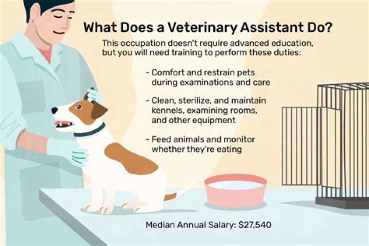 What is a pet care assistant?