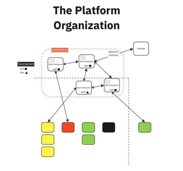 What is a platform organization?