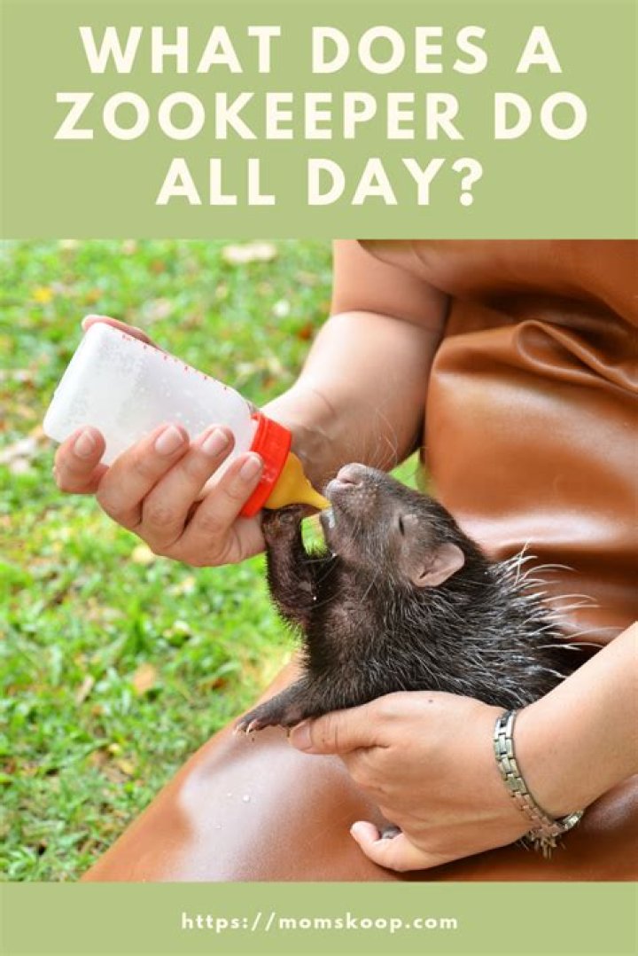 What is a typical day for a zookeeper?