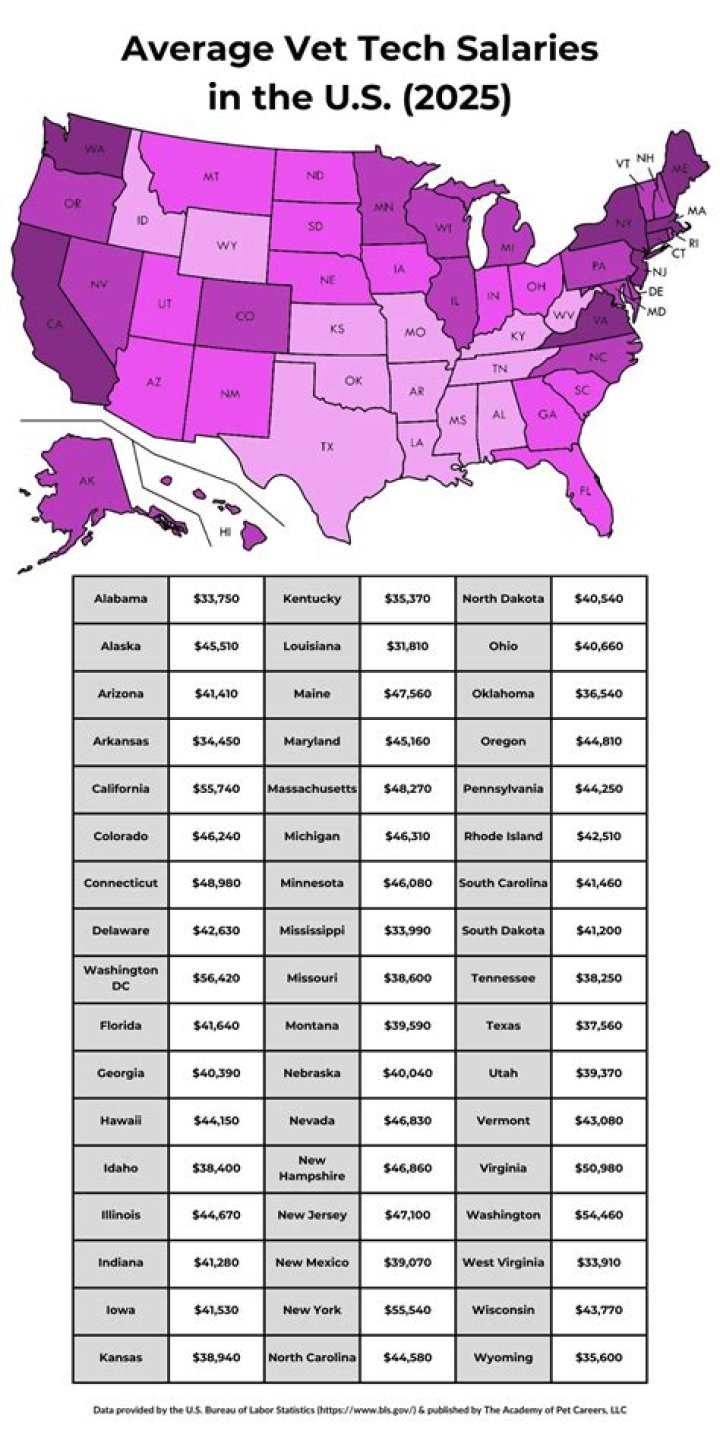 What is a vet tech salary UK?