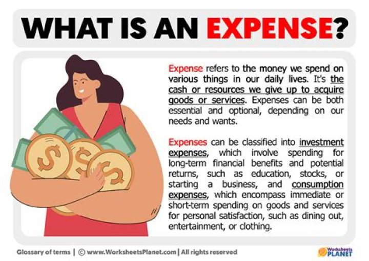 What is an expense give an example?
