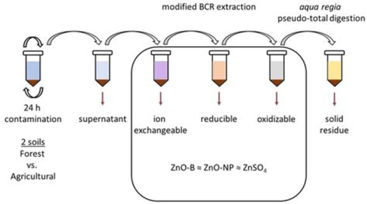 What is BCR sequential extraction?