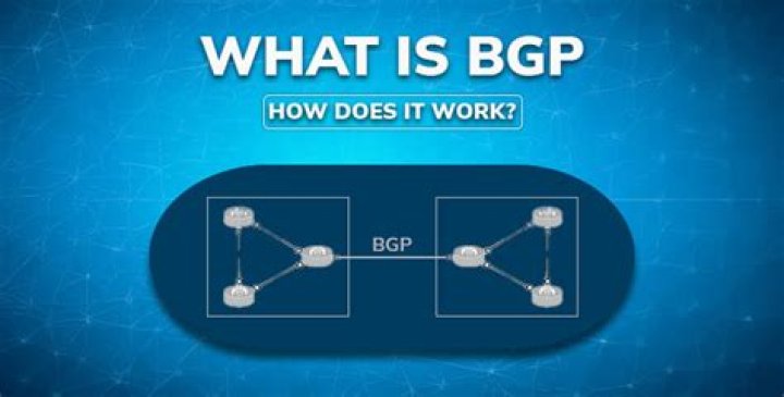 What is BGP acronym?
