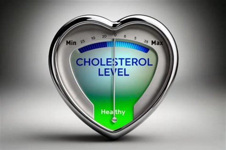 What is considered dangerously high cholesterol?