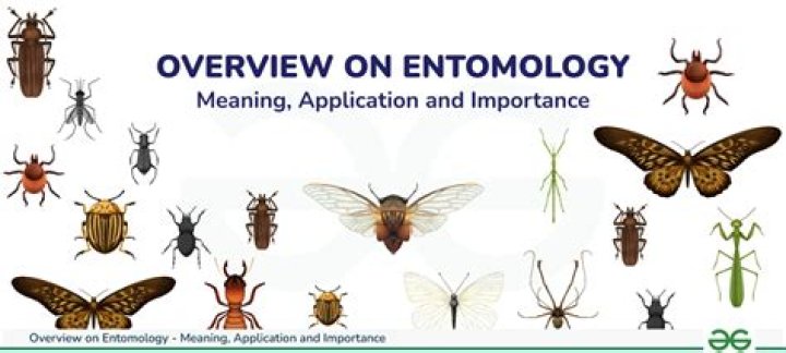 What is entomology and how is it used?