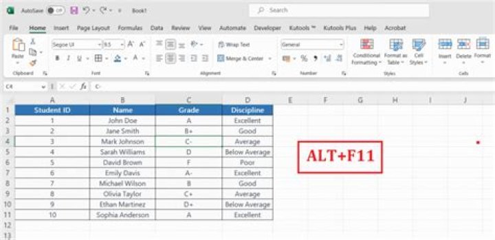 What is F11 in Excel?