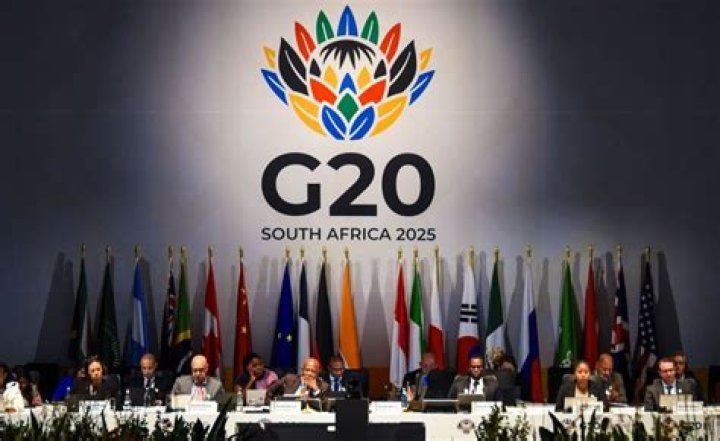 What is G20 purpose?