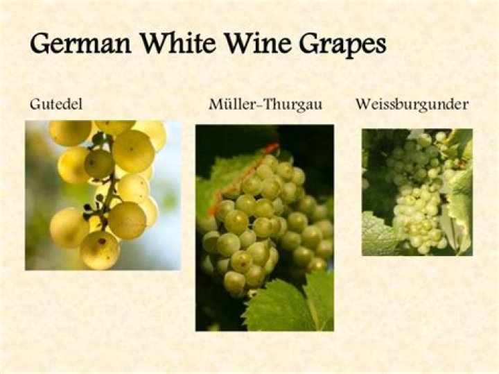 What is German white wine called?
