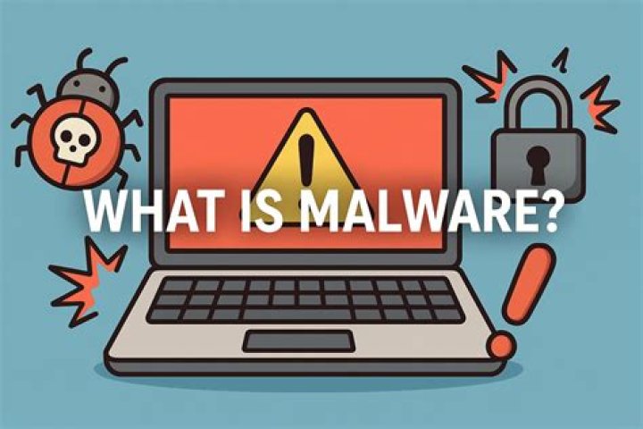 What is malware in cyber crime?