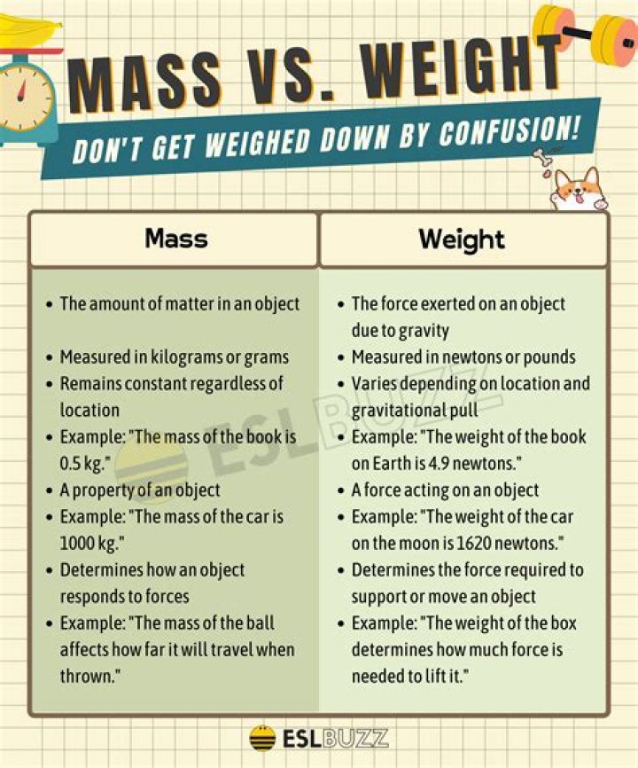 What is net mass weight?