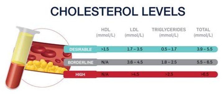 What is normal cholesterol level?