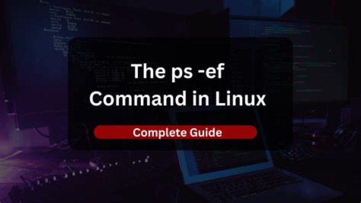 What is Rimraf command?