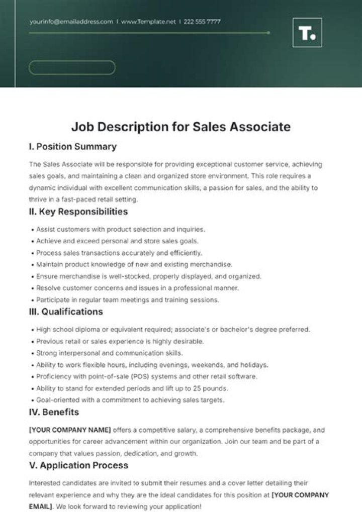 What is sales publisher job description?