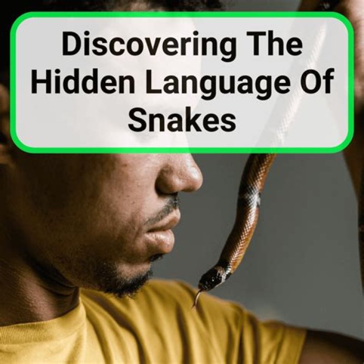 What is snake language?
