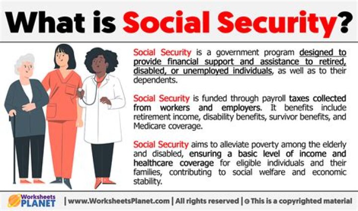What is Social Security for INS mean?