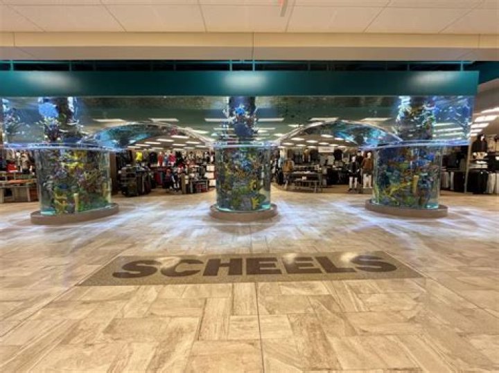 What is starting pay at Scheels?