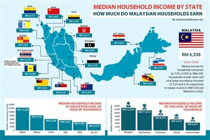 What is the average income of Malaysian?