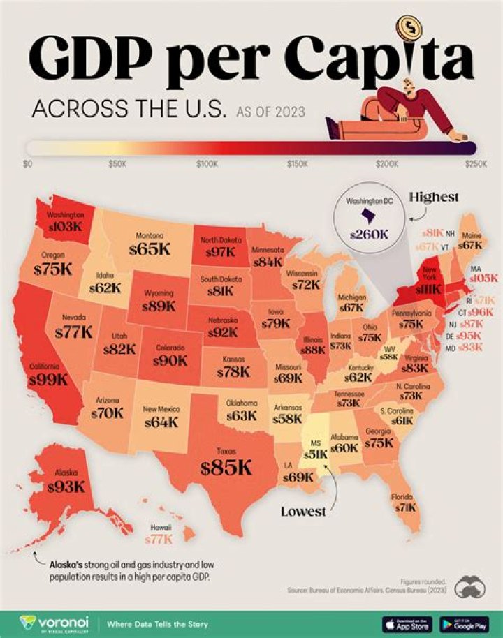 What is the average per capita annual income in the United States?