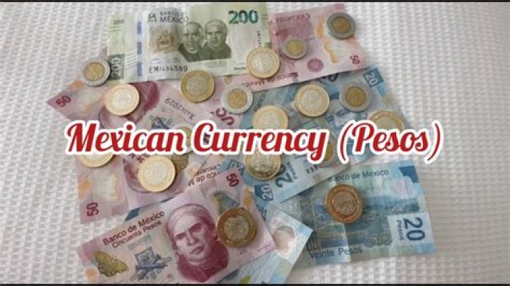 What is the basic unit of currency?