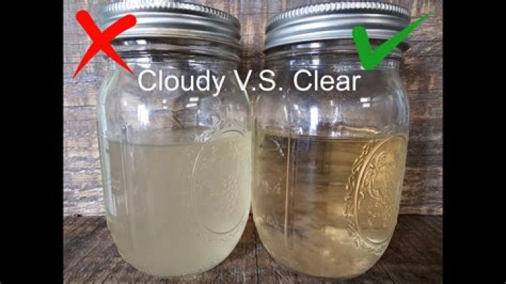 What is the clear liquid in a cyst?