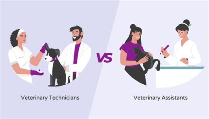 What is the difference between a veterinary assistant and a veterinary technician?
