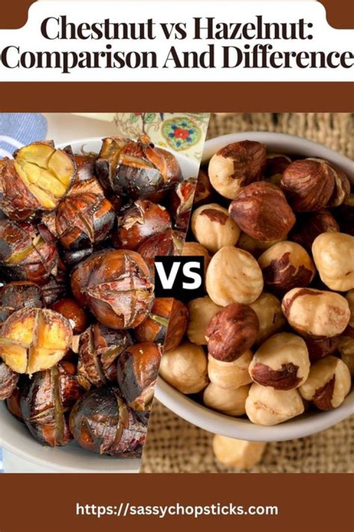 What is the difference between chestnut and hazelnut?