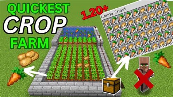 What is the easiest farm to start?