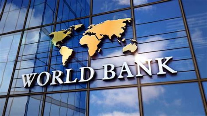 What is the effect of World Bank?