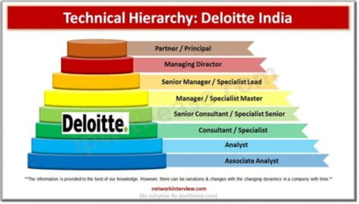 What is the hierarchy in Deloitte?