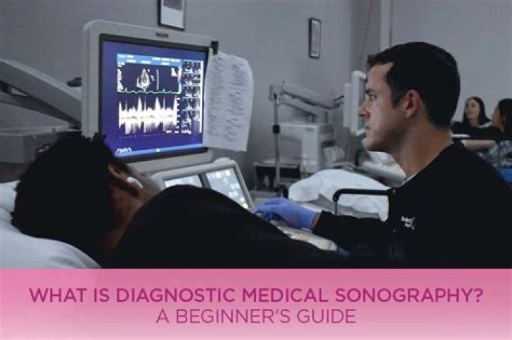What is the highest degree in diagnostic medical sonography?