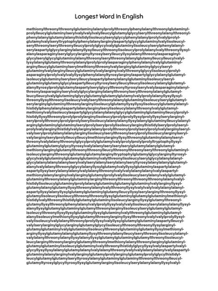 What is the longest ambigram word?