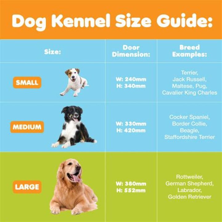 What is the meaning of dog kennel?