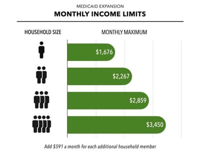 What is the monthly income for an artist?